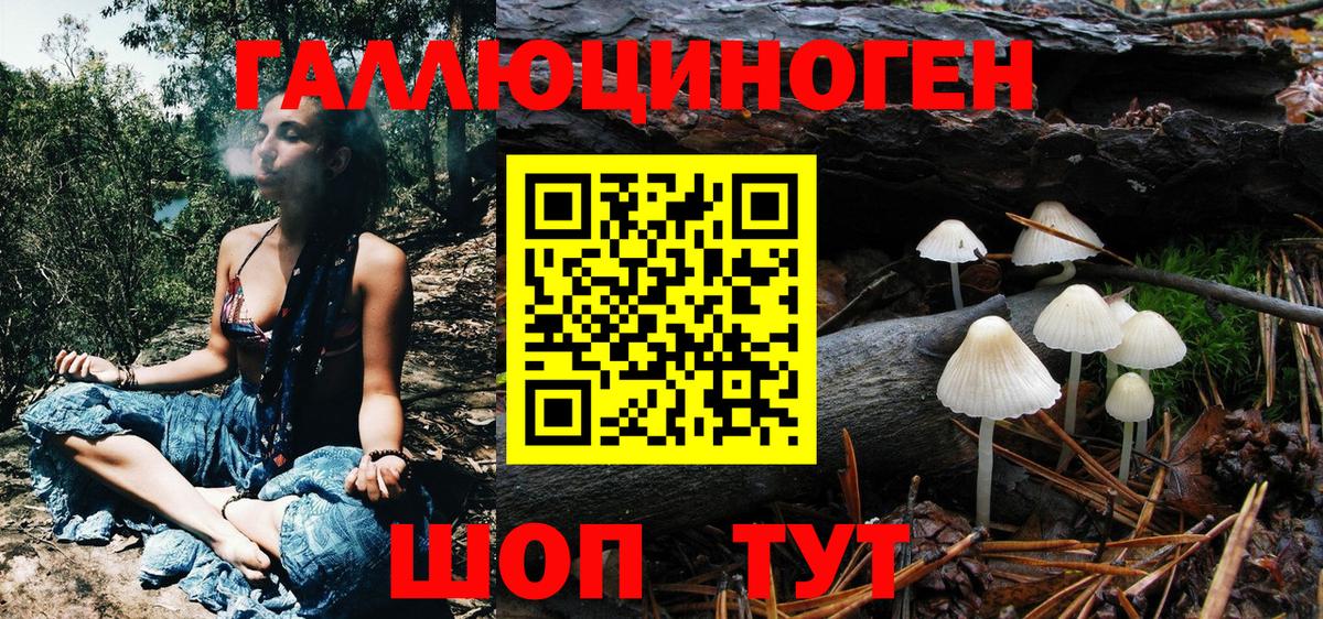 Владимир  Псилоцибиновые грибы мухоморы  Вход с VPN 